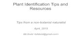 Plant Identification Tips and Resources - CAMNcamn.org/newsite/wp-content/uploads/2015/03/PlantIdTips.pdfLichens “Lichens of North America” Brodo, Sharnoff & Sharnoff Lichens are