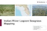 Indian River Lagoon Seagrass Mapping | Indian River Lagoon Seagrass Mapping Seagrass, a submerged flowering