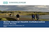 North Central Health Collaborative Case Study · 2019-06-20 · Started in 2015, the North Central Health Collaborative (District 2 RC) ... what priority health issues the group tackles.