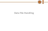 Data File Handling - LPU GUIDE€¦ · Data File Handling. Introduction •Computer programs are associated to work with files as it helps in storing data & information permanently.