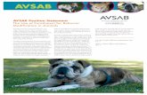 The American Veterinary Society of Animal Behavior - AVSAB … · 2019-01-02 · American Veterinary Society of Animal Behavior 1 AVSAB Position Statement The Use of Punishment for