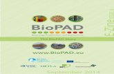 E-Zine - BioPAD · Workshop in Finland together with the Pielinen Karelia Bioenergy program (PIKES) and another Northern Periphery Programme project, REMOTE. The event was held in