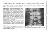 The spine in idiopathic haemochromatosis · Spine in idiopathic haemochromatosis 455 Table1I Pathologicalfindings in lumbarspine ofsix autopsiedcases Caseno. I 2 M LI-SI eration LI-2andL4-5