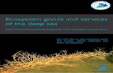 Ecosystem goods and services of the deep seamedian-sustainability.com/IMG/pdf/ecosystem_goods_and...Ecosystem Goods and Services of the Deep Sea 6 1. Introduction The deep sea, defined