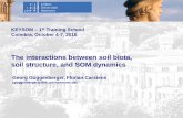 The interactions between soil biota, soil structure, and SOM … · 2016-10-31 · The interactions between soil biota, soil structure, and SOM dynamics Leibniz University Hannover