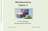 Biochemistry Lipids 1 - uomustansiriyah.edu.iq · Biochemistry Lipids 1 2ndyear Biology ... •Biomolecules that contain fatty acids or a steroid nucleus. •Named for the Greek word