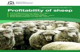 The Sheep Industry Business Innovation Project ... · Increased ewe lamb retention Keeping more ewe lambs is a viable option if the producer is happy to reduce the turnoff of lambs