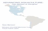ADVANCING AQUACULTURE - Oregon State University · Advancing Aquaculture: Fish Welfare at Slaughter 1 For the past five and half years I have been employed by the Humane Slaughter