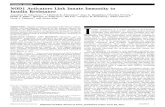 ORIGINAL ARTICLE NOD1 Activators Link Innate Immunity to ... · NOD1 Activators Link Innate Immunity to Insulin Resistance Jonathan D. Schertzer,1,2 Akhilesh K. Tamrakar,1 Joao G.