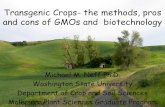 Transgenic Crops- the methods, pros and cons of GMOs and ... · Transgenic Crops- the methods, pros and cons of GMOs and biotechnology. Michael M. Neff Ph.D. Washington State University.