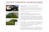 LUCKY PARROT SANCTUARY - 2nd Chance 4 Pets · Enter sanctuaries like the Lucky Parrot Parrot Sanctuary in Naples, Florida. The sanctuary’s motto is “One Parrot at a Time.” A