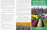 Lompoc Flower Field Map · The flower industry in the Lompoc Valley dates to the early 1900s when mustard was harvested for seed. Fragrant sweet peas, one of the valley’s first