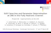 SUSY Searches and Parameter Determination at CMS in the ... · SUSY Searches and Parameter Determination at CMS in the Fully Hadronic Channel Project B2 – Supersymmetry at the LHC