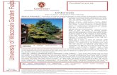 pddc.wisc.edu€¦  · Web viewPlant trees and shrubs that are less susceptible to chlorosis, and make sure your trees and shrubs receive sufficient water (approximately one inch