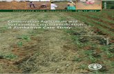 Conservation Agriculture and sustainable crop Conservation Agriculture and Sustainable Crop Intensification