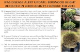 IFAS DISEASE ALERT UPDATE: BOXWOOD BLIGHT DETECTED IN … · IFAS DISEASE ALERT UPDATE: BOXWOOD BLIGHT DETECTED IN LEON COUNTY, FLORIDA: FEB 2016 Boxwood blight pathogen has been