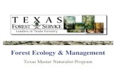 Forest Ecology & Management - Texas Master Naturalisttxmn.org/elcamino/files/2010/03/Grotty-TMN-Forestry-Lecture.pdf · Forest Ecology & Management Texas Master Naturalist Program