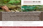 WILDLIFE OF MADAGASCAR EXPEDITION Itinera… · The vast island of Madagascar has some of the highest concentrations of unique plant and animal species found anywhere on Earth. The