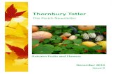 The Parish Newsletter - Thornbury€¦ · Thornbury Tatler December 2014 Thornbury Tatler The Parish Newsletter Autumn Fruits and Flowers December 2014 Issue 9. Thornbury Tatler December