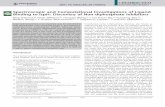 Spectroscopic and Computational Investigations of Ligand ...chemgroups.ucdavis.edu/~cramer/Publications_pdf/cramer_244.pdf · Spectroscopic and Computational Investigations of Ligand