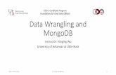 CDO-1 Certificate Program: Foundations for Chief Data ... · Data Wrangling and MongoDB Instructor: Ninging Wu University of Arkansas at Little Rock CDO-1 Certificate Program: Foundations