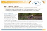 No Mere Bird! - Willamette Valley Wineries€¦ · No Mere Bird! 1 “The quality of cranes lies…as yet beyond the reach of words. When we hear his call we hear no mere bird. We