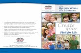 ANTE Strategy Whole Life Insurance - Moody Insurance Group€¦ · Strategy Whole Life Insurance . Providing Stability. For generations whole life insurance has . helped provide for