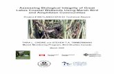 Assessing Biological Integrity of Great Lakes Coastal ...glc.org/wp-content/uploads/2016/10/CWC-Bird-Amphib-IBI-Report.pdf · Biotic Integrity (Karr 1981) specific to marsh birds
