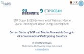 ETIP Ocean & OES-Environmental Webinar: Marine Spatial ...€¦ · ETIP Ocean & OES-Environmental Webinar: Marine Spatial Planning and Ocean Energy Development Dr Anne Marie O’Hagan,