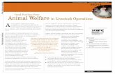 Animal Welfare in Livestock Operations - World Bankdocuments.worldbank.org/curated/en/796901468314078243/pdf/382… · commercial livestock operations around the world. This has wide-ranging