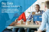 Hadoop Solutions - Delli.dell.com/sites/doccontent/shared-content/data-sheets/en/Document… · Big Data Hadoop Solutions | Increase insights and agility with a Dell big data solution