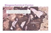 Biogeochemical Cycles - WordPress.com · Biogeochemical cycles move these substances through air, water, soil, rock and living organisms. + The Water Cycle + Effects of Human Activities