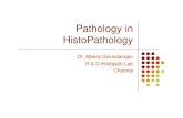 Pathology in HistoPathology - rndhistopathlab.comrndhistopathlab.com/wp-content/uploads/2016/07/pathology-in-patho… · Processing times can be shortened by using better techniques