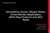 Derivatives Issues: Margin Rules, Cross-Border Application ...€¦ · • Dodd-Frank requires regulators to draft rules requiring margin for bilateral swaps that will not be cleared