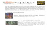 WATTLE WALK - Olive Pink Botanic Gardenopbg.com.au/wp-content/uploads/2010/03/Wattle-Walk.pdf · WATTLE WALK Self-guided Trail This self-guided walk will introduce you to a number