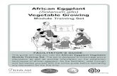 African Eggplant (Solanum gilo) Vegetable Growingafricasoilhealth.cabi.org/wpcms/.../African-Eggplant-Vegetable-Growi… · African Eggplant (Solanum gilo) Vegetable Growing. Using