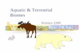 Aquatic & Terrestrial Biomes - · PDF file Aquatic & Terrestrial Biomes Science 2200. Biomes There are two major types of ecosystems: Aquatic Terrestrial Each can be subdivided further.