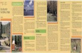 ELK ISLAND NATIONAL PARK - Parks Canadaparkscanadahistory.com/brochures/elkisland/brochure-1989.pdf · ELK ISLAND NATIONAL PARK Alberta Elk Island National Park Elk Island National