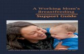 A Working Mom’s Breastfeeding Support Guidedhss.alaska.gov/dph/wcfh/Documents/perinatal/Breastfeeding_Retur… · 2) Talk with Other Breastfeeding Moms. Seek out other nursing mothers