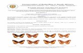 Conservation of Butterflies in South Africa’s€¦ · First record of Eurytela dryope angulata (Golden Piper/Oranjelintbosvlieër) forms from Southern Africa, with the descriptions