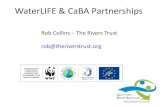 Rob Collins – The Rivers Trust rob@theriverstrust€¦ · Urban Water Management • Series of Urban Water Management Workshops • Aimed primarily at engaging Local Authorities