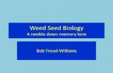 Weed Seed Biology - BCPC€¦ · Seed rain patterns of selected weed species after Leguizamon & Roberts,1982. Seed rain pattern of Alopecurus myosuroides in w.wheat in three successive
