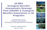 US EPA Ecological Benefits Assessments Strategic Plan ...ec.europa.eu/environment/archives/air/valuation/pdf/linda_chappell.pdf · Ecological Benefits Assessments Strategic Plan (EBASP)