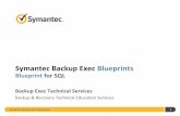 Symantec Backup Exec Blueprints - Veritas€¦ · Backup & Recovery Technical Education Services. Symantec Backup Exec Blueprints 2 Notice This Backup Exec Blueprint presentation