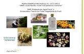 NyNordiskMad Workshop 21.-22.3 2012 SME s and Nordic Food ... · ”SME´s and Nordic Food Competence Centres ... Development of herbs to goat and sheep cheese and youghurt production
