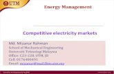 Competitive electricity markets Competitive electricity markets Md. Mizanur Rahman School of Mechanical