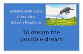 MINDCAMP 2016 Clara Kluk Sylvain Rouillardmindcamp.org/handouts/2016/possible-dream.pdf · MINDCAMP 2016 Clara Kluk Sylvain Rouillard To dream the possible dream ! clarify the importance