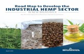 Road Map to Develop the INDUSTRIAL HEMP SECTOR · emerging industrial Hemp Sector. Market Overview In Canada, industrial hemp production has grown steadily over the last 10-15 years.