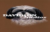 Davidson Studios Pet Portraits Gallery · PDF file Davidson Studios, Jackie Davidson, Jacqueline Davidson, pet portraits, portrait, pet portraits, portraits, illustration, artist,