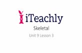 Skeletal - iTeachly.com · Skeletal Summary Skeletal system provides form and support to the body. There are two divisions of human skeleton: axial and appendicular. Bones are classified